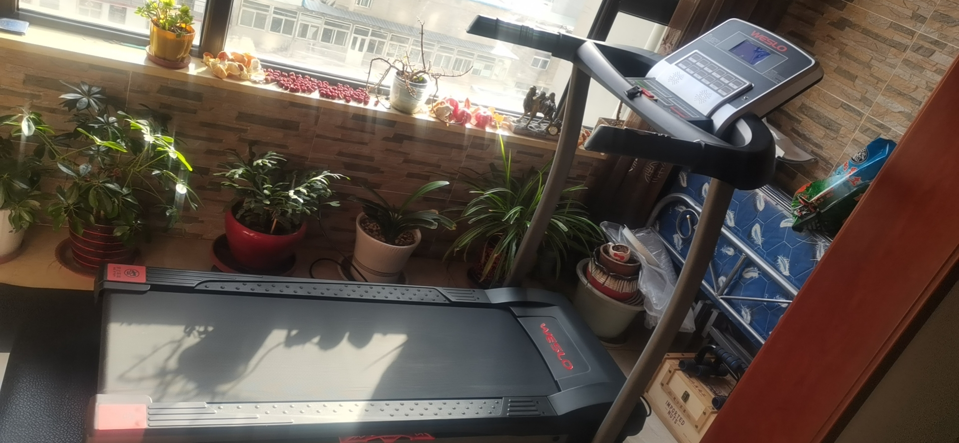 汾陽樱桃视频免费 汾陽樱桃视频免费