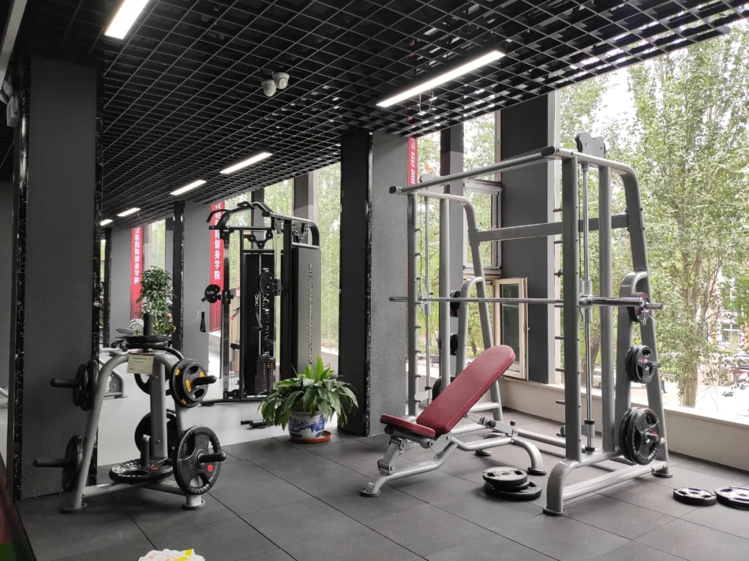 樱桃在线视频健身器材